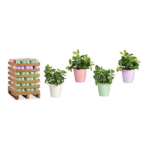 Urtepotte Pink Syren Hvid Grøn Ler (16,5 x 16 x 16,5 cm) (120 enheder)