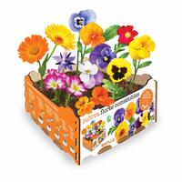 Dyrkning Set Batlle Cvetlice Spiseligt 19 x 19 x 10 cm