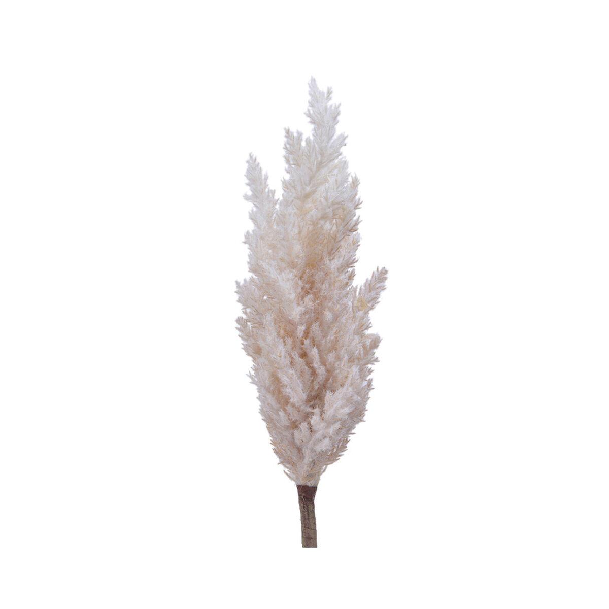 Dekorativ plante Everlands Pampas (Ø 9 x 90 cm)