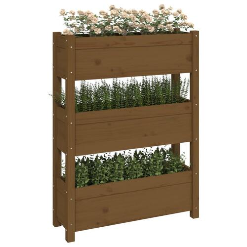 Plantekasse 77x25x104,5 cm massivt fyrretræ gyldenbrun