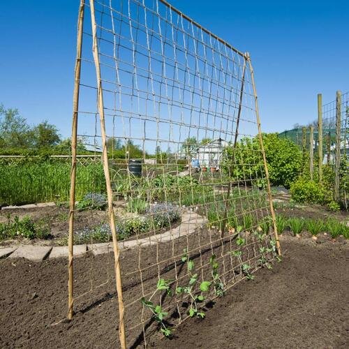 net til klatreplanter 1,8x5 m jute grøn