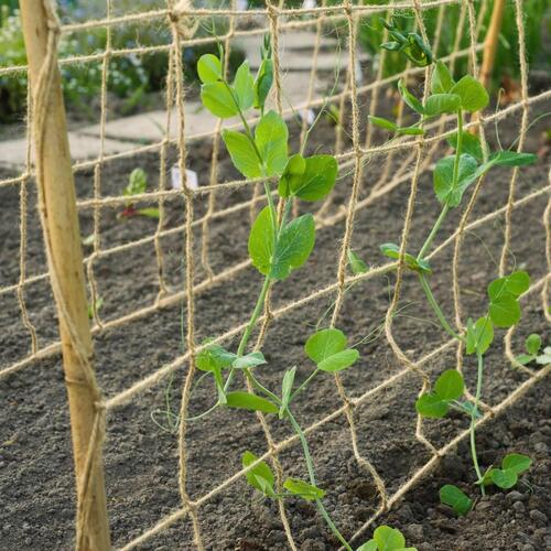 net til klatreplanter 1,8x5 m jute grøn