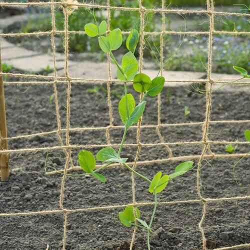 net til klatreplanter 1,8x5 m jute grøn
