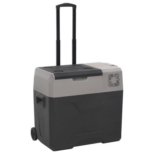 Køleboks med hjul og adapter 30 l polypropylen sort og grå