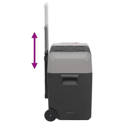 Køleboks med hjul og adapter 50 l polypropylen sort og grå