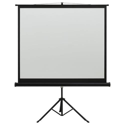 Projektorlærred med stativ 60" 1:1