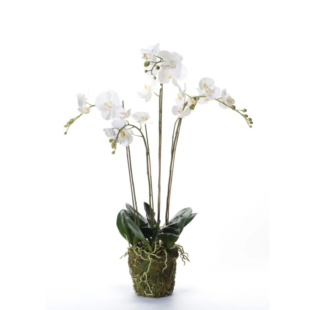 Se Emerald kunstig phalaenopsisorkidé i hvid med mos 90 cm 20.355 hos Boligcenter.dk