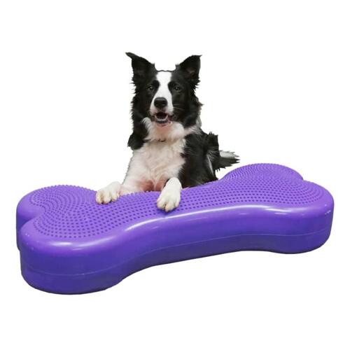FitPAWS kæledyrs-balanceplatform Giant K9FITbone PVC lilla