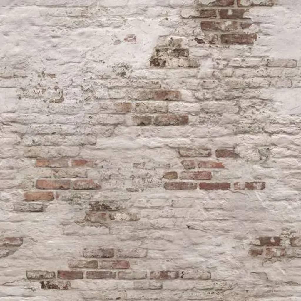 Se DUTCH WALLCOVERINGS fototapet Old Brick Wall beige og brun hos Boligcenter.dk