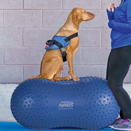 FitPAWS balanceplatform til kæledyr Trax Peanut 60 cm blå