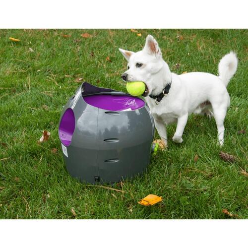 PetSafe automatisk boldkaster 9 m grå og lilla PTY00-14665