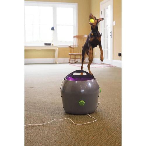 PetSafe automatisk boldkaster 9 m grå og lilla PTY00-14665