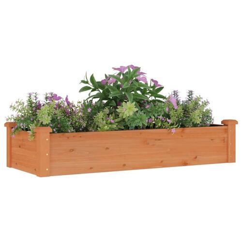 Højbed med foring 120x45x25 cm massivt fyrretræ brun