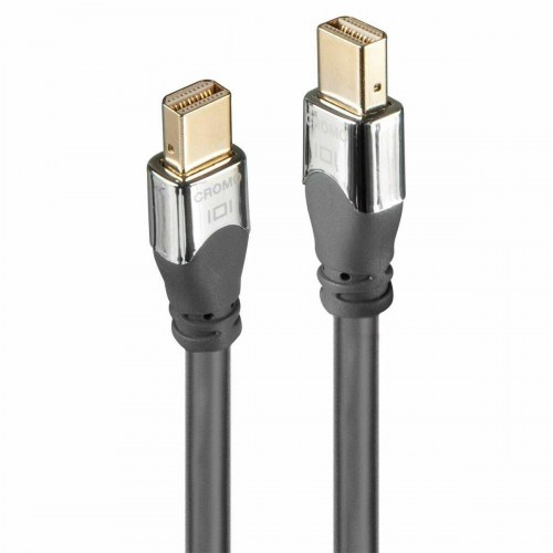 LINDY DisplayPort-kabel 2 m - han til han