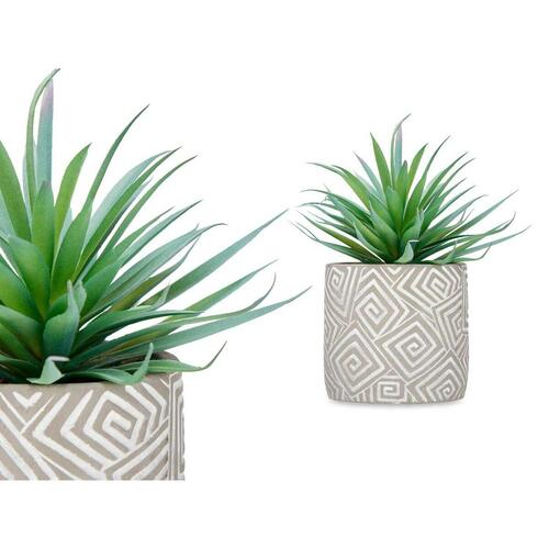 Dekorativ plante Sukkulent Træ Plastik 17 x 21 x 17 cm (8 enheder)
