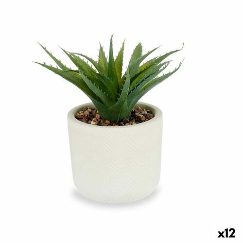 Dekorativ plante Sukkulent Plastik 14 x 18 x 14 cm (12 enheder)