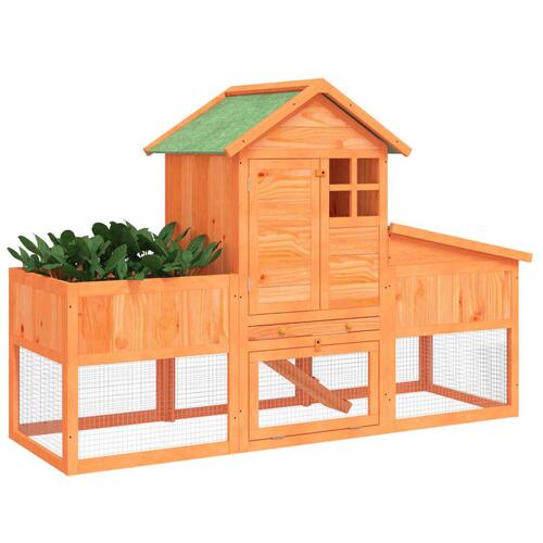 Kaninbur 170x63x113 cm massivt fyrretræ brun