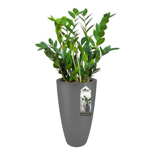 Urtepotte Elho 8885373042500 Antracit Plastik Cirkulær