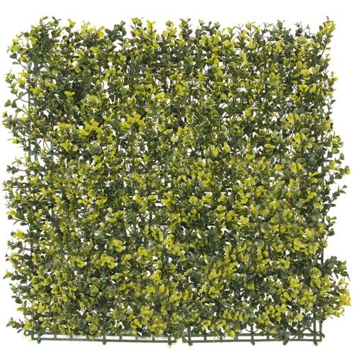 Hegn 50 x 50 x 2 cm
