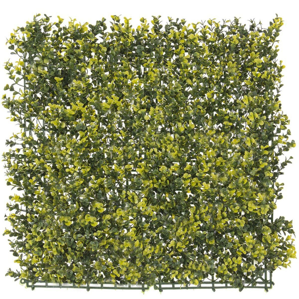 Hegn 50 x 50 x 2 cm