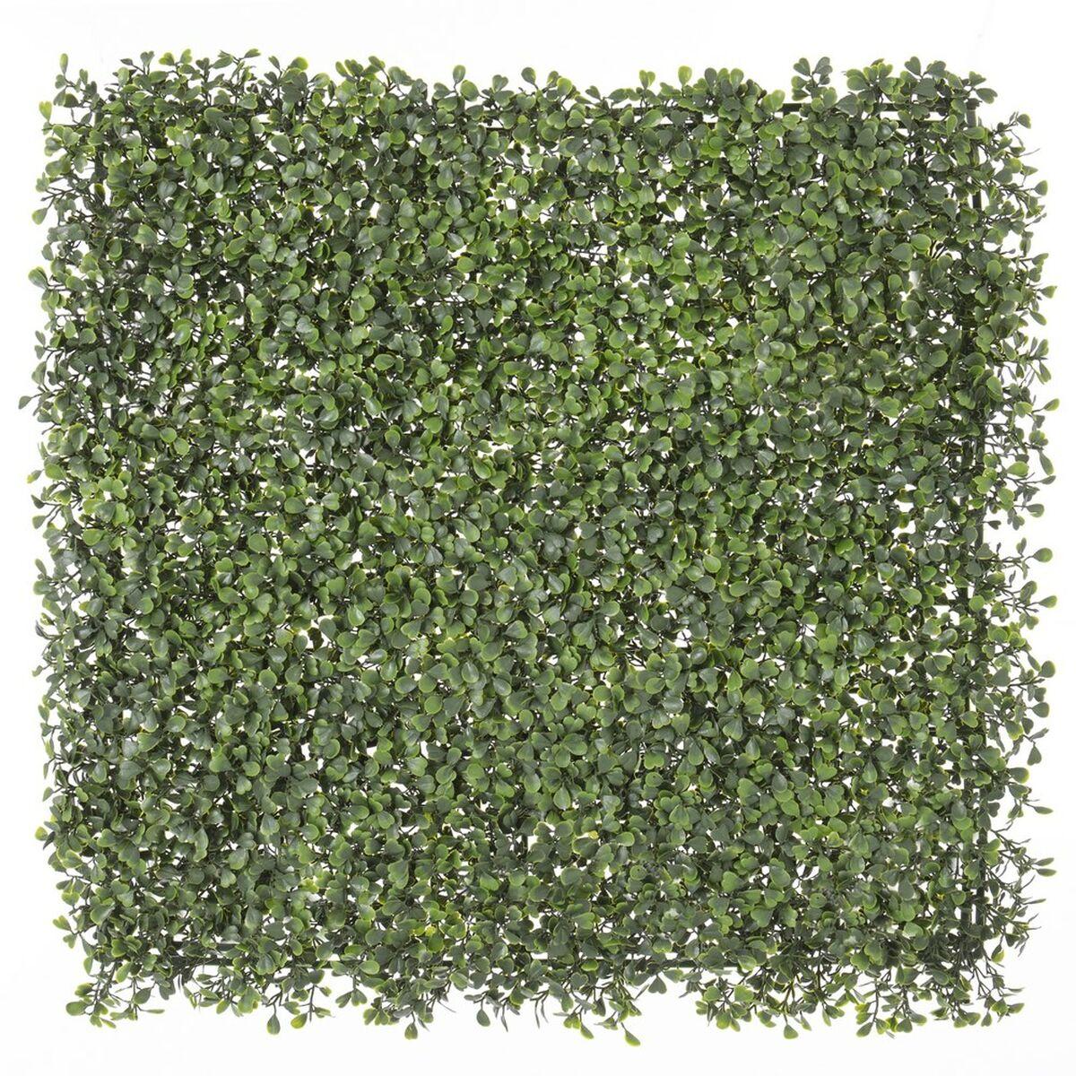 Hegn Boje Natur 50 x 50 x 2 cm