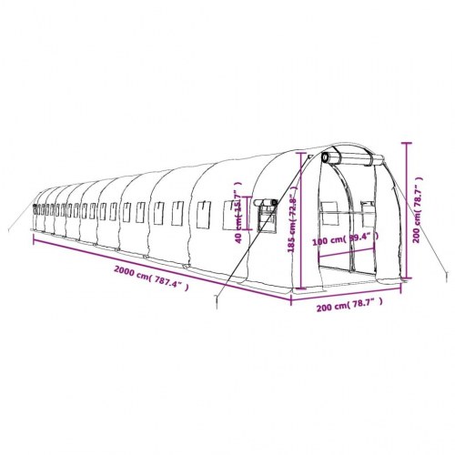 Drivhus med stålstel 40 m² - 20 × 2 × 2 m, grøn