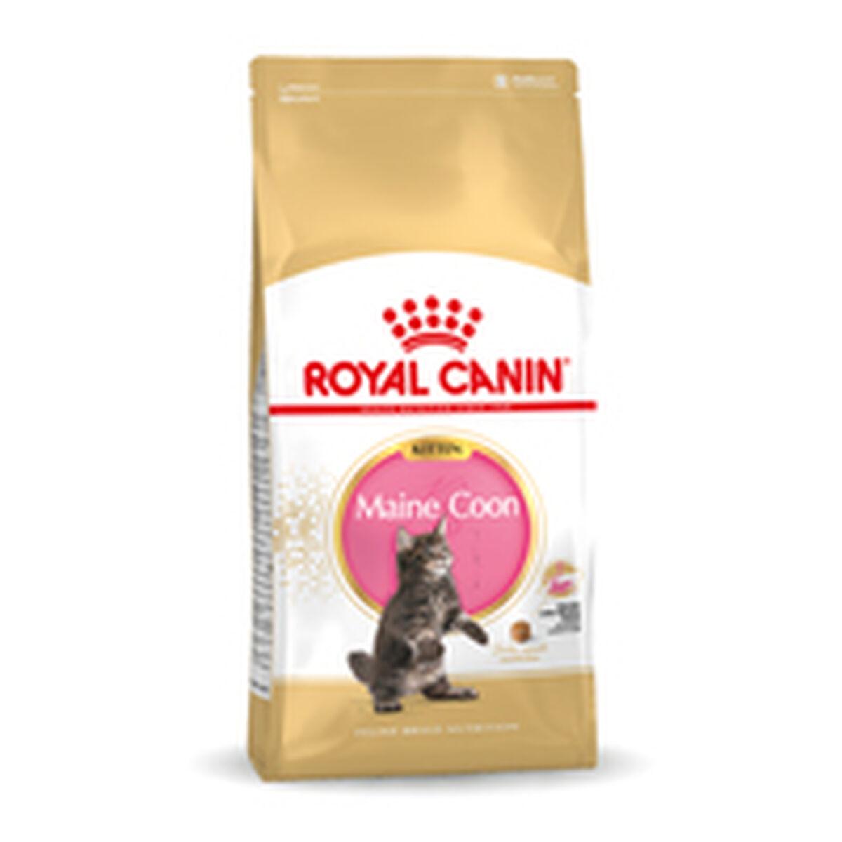 Kattemad Royal Canin Maine Coon Kitten