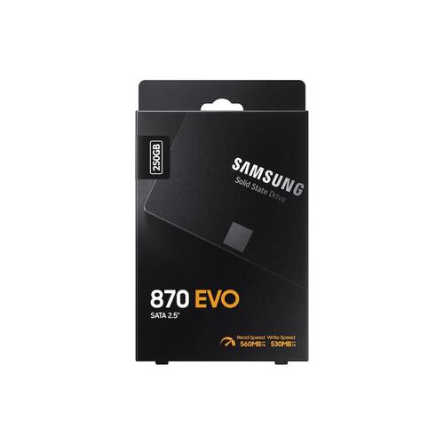 Harddisk Samsung 870 EVO 2,5" 250 GB SSD SATA Sort 250 GB SSD