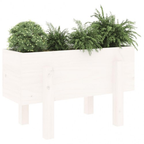 Plantekasse i massivt fyrretræ - hvid, 62×30×38 cm