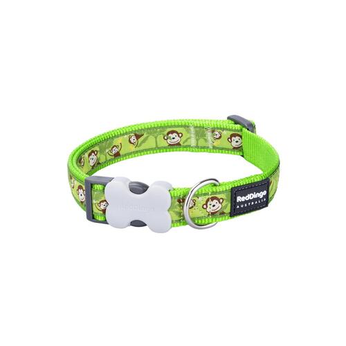 Hundehalsbånd Red Dingo Monkey 20-32 cm Grøn