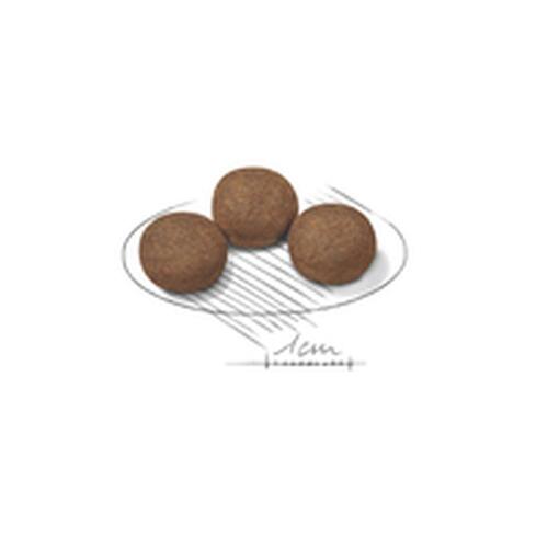 Foder Royal Canin Medium Puppy 15 kg Barn/Junior Vegetabilsk