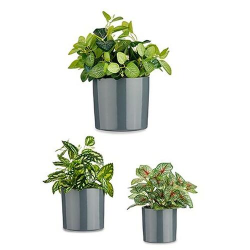 plantekrukker Ø 14 cm Ø 22 cm Ø 17 cm Cylinder 3 Dele Antracit