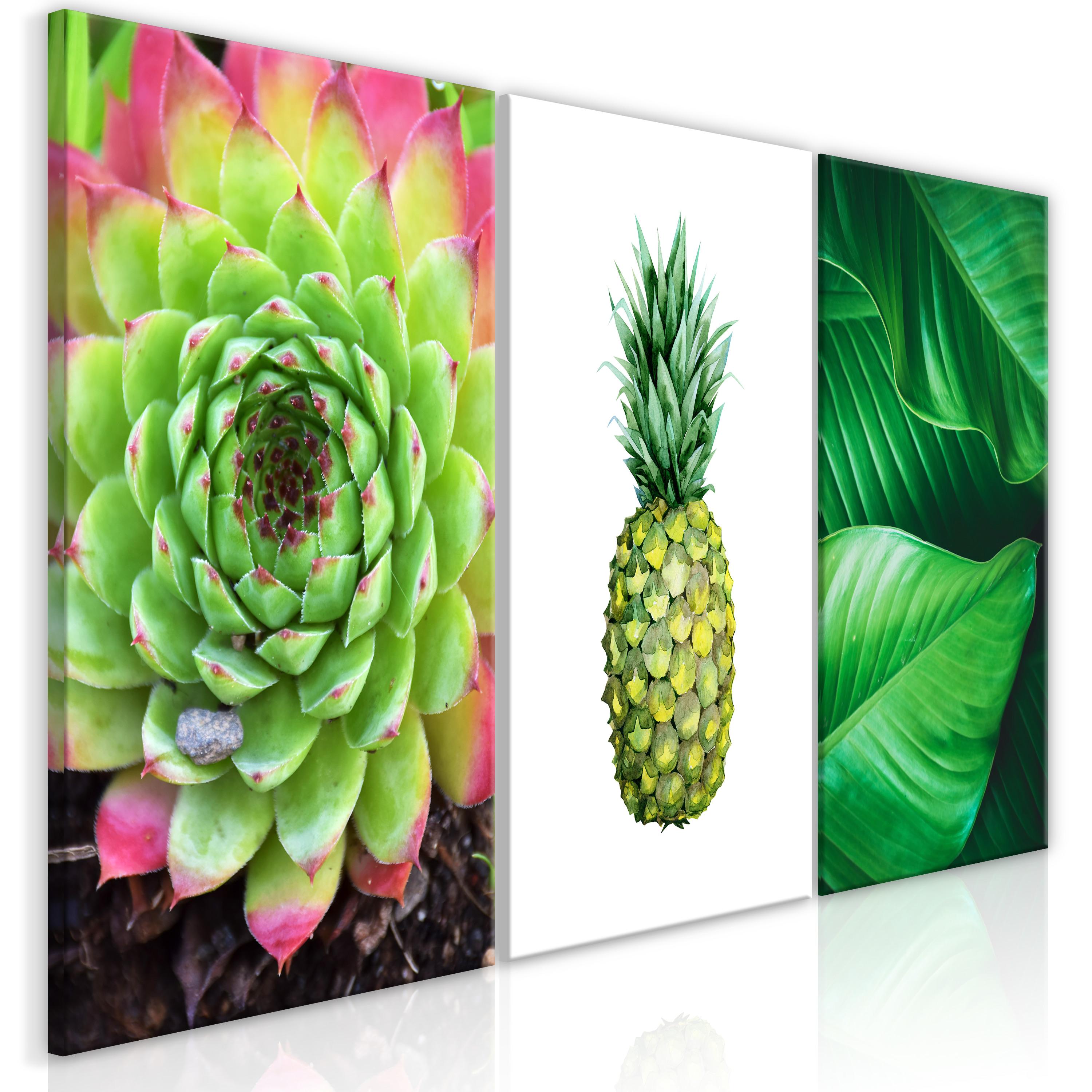 Billede - Treasures of the Tropics (3 Parts) 120 x 60 cm billede