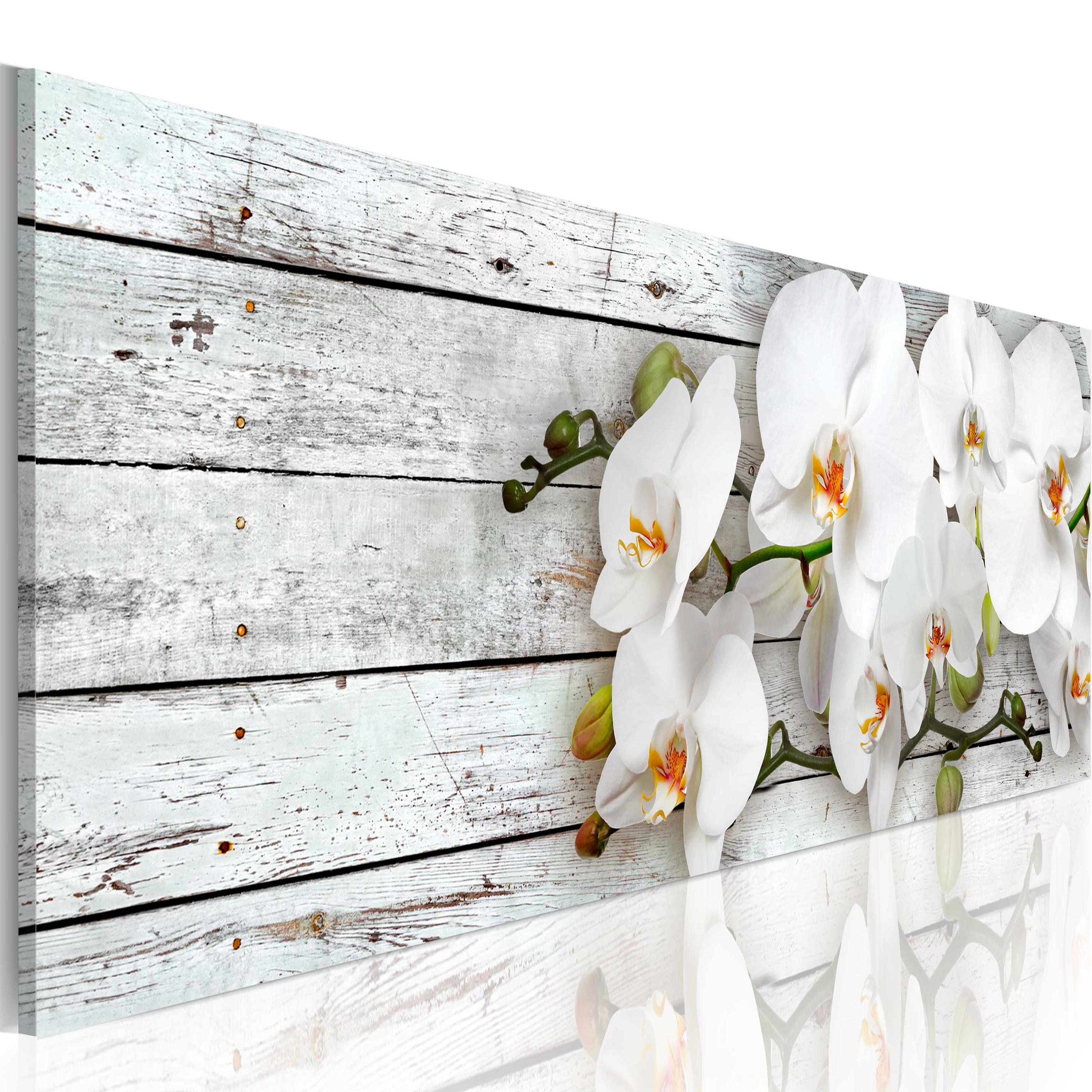 Billede - White Dreams - 150 x 50 cm - Premium Print billede
