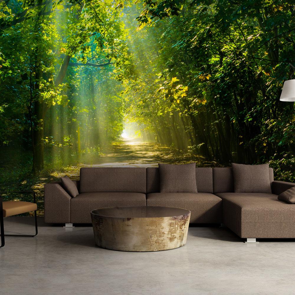 Fototapet - Road in Sunlight - 350 x 245 cm - Standard billede