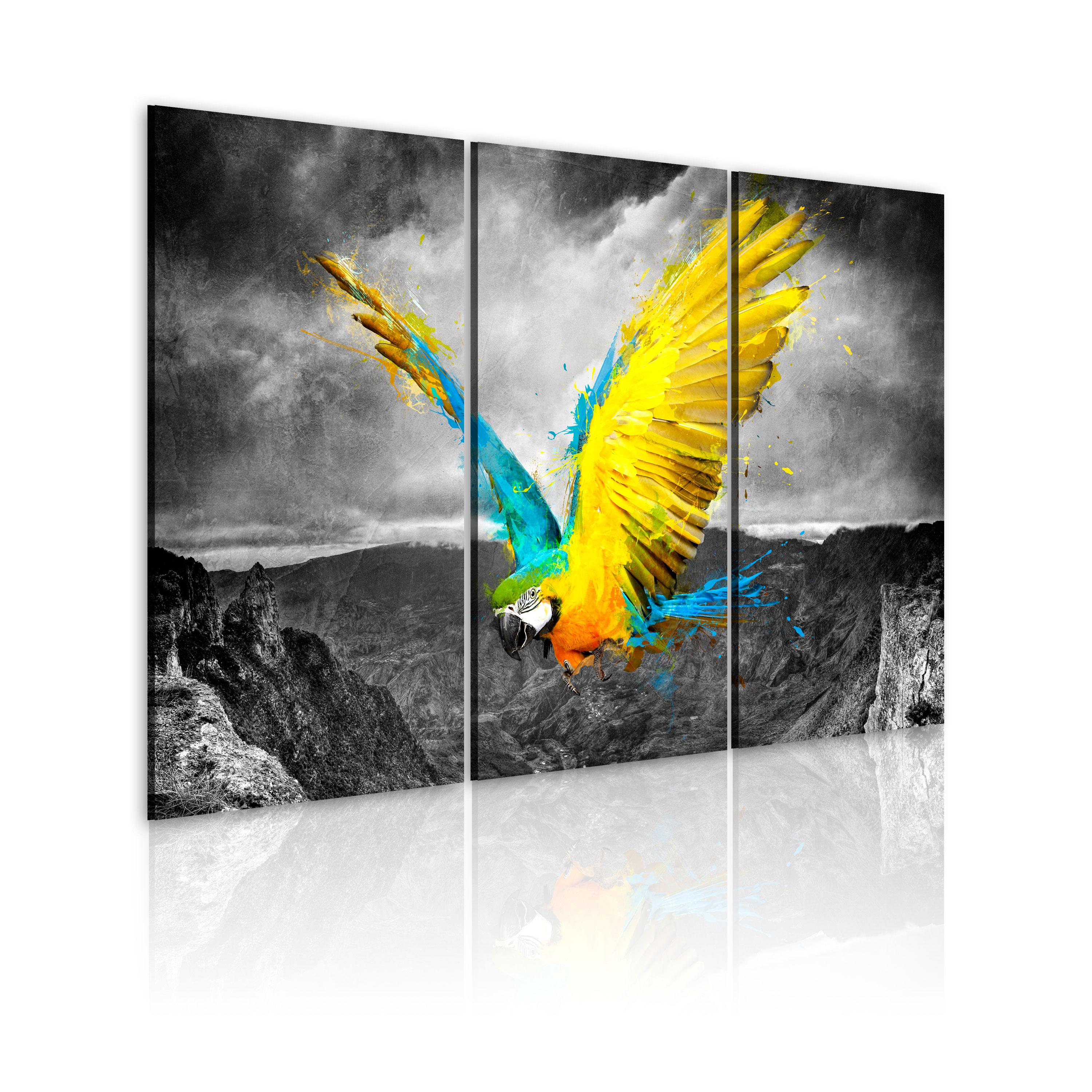 Billede - Bird-of-paradis - 90 x 60 cm - Premium Print billede