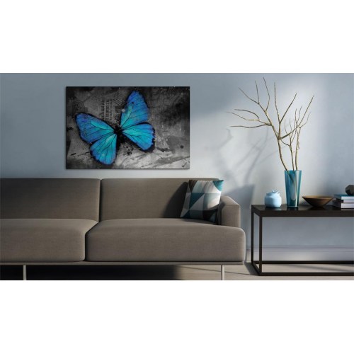 Billede - The study of butterfly