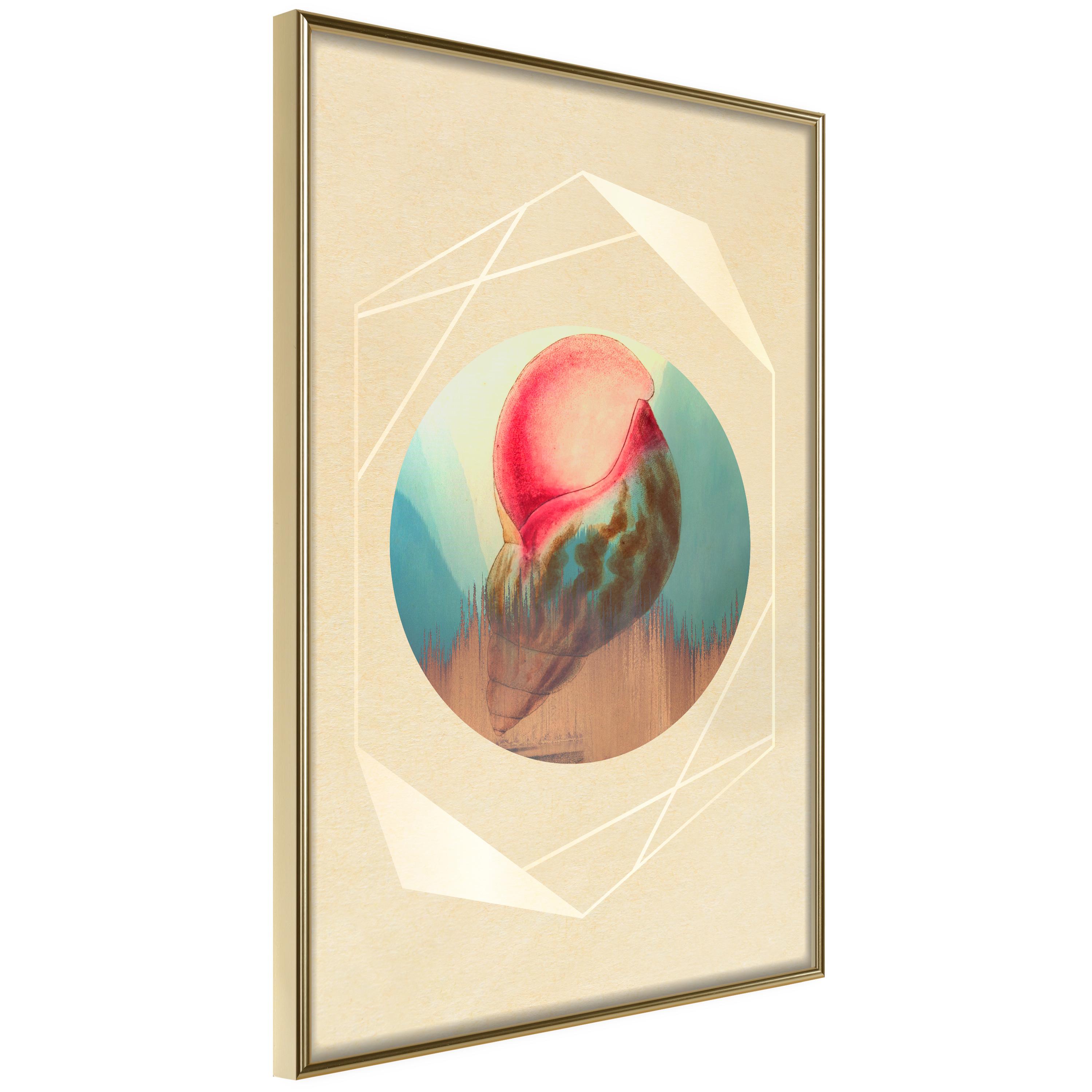 Plakat - Seashell - 30 x 45 cm - Guldramme billede