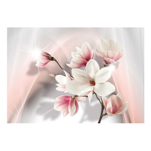 Fototapet Hvide magnolier