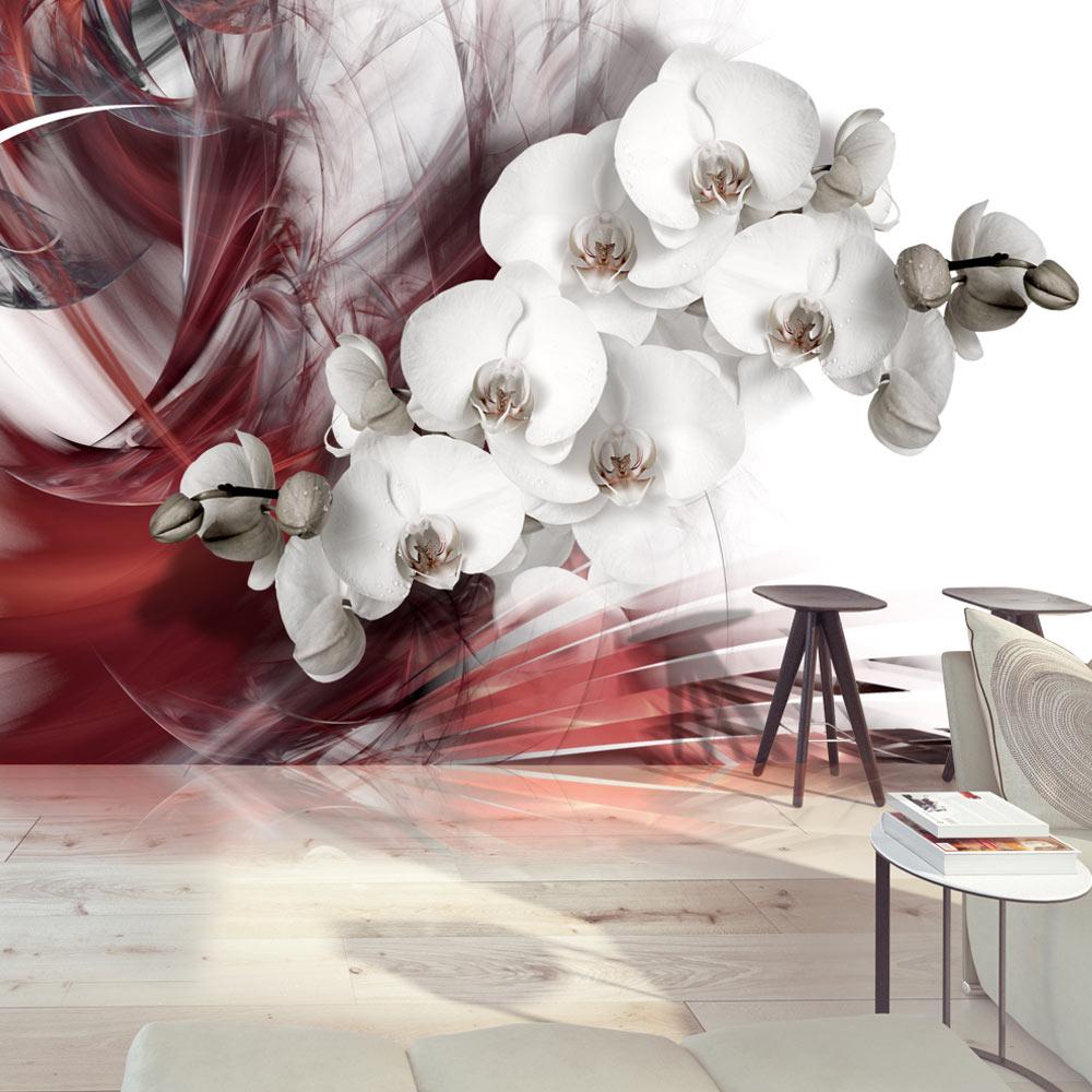 Fototapet - Orchid in red - 200 x 140 cm - Standard billede