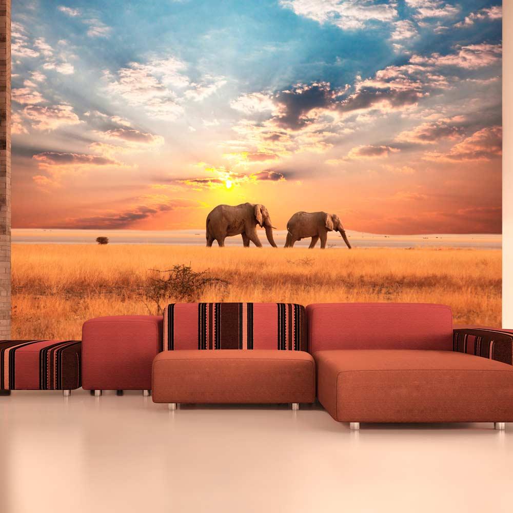 Fototapet - Afrikanske savanne elefanter - 300 x 231 cm - Premium billede