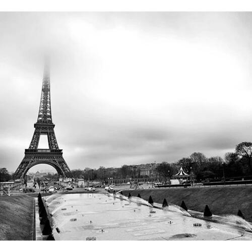 Fototapet - Paris: Eiffel Tower