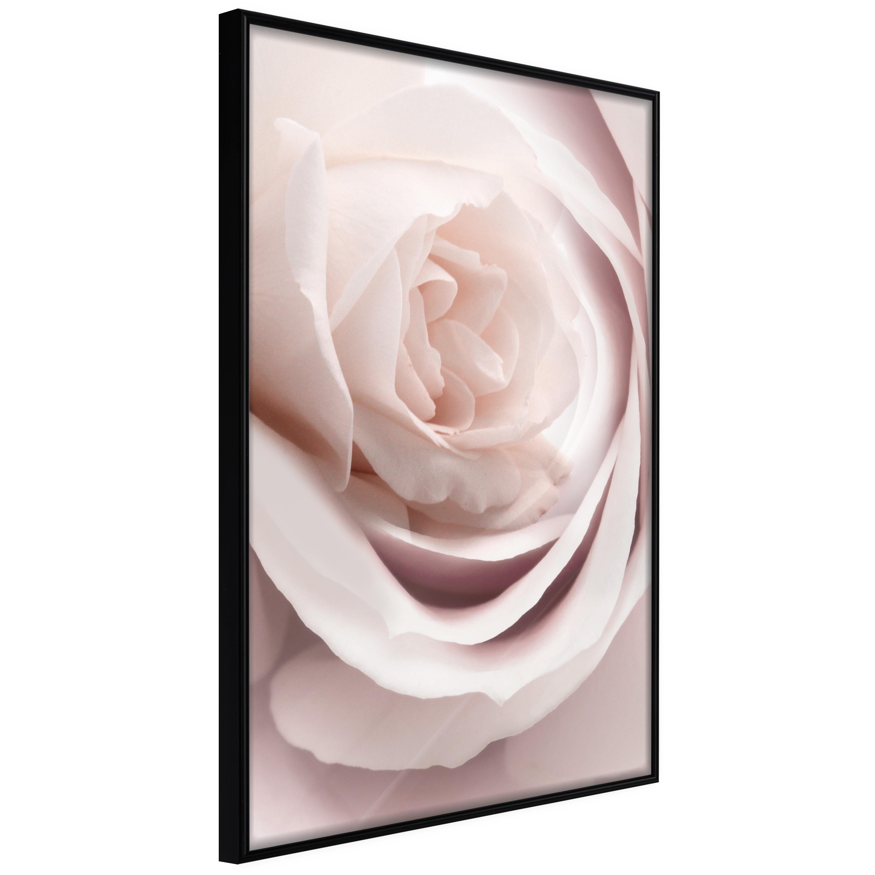 Plakat - Porcelain Rose - 20 x 30 cm - Sort ramme billede