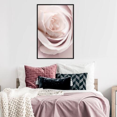 Plakat - Porcelain Rose