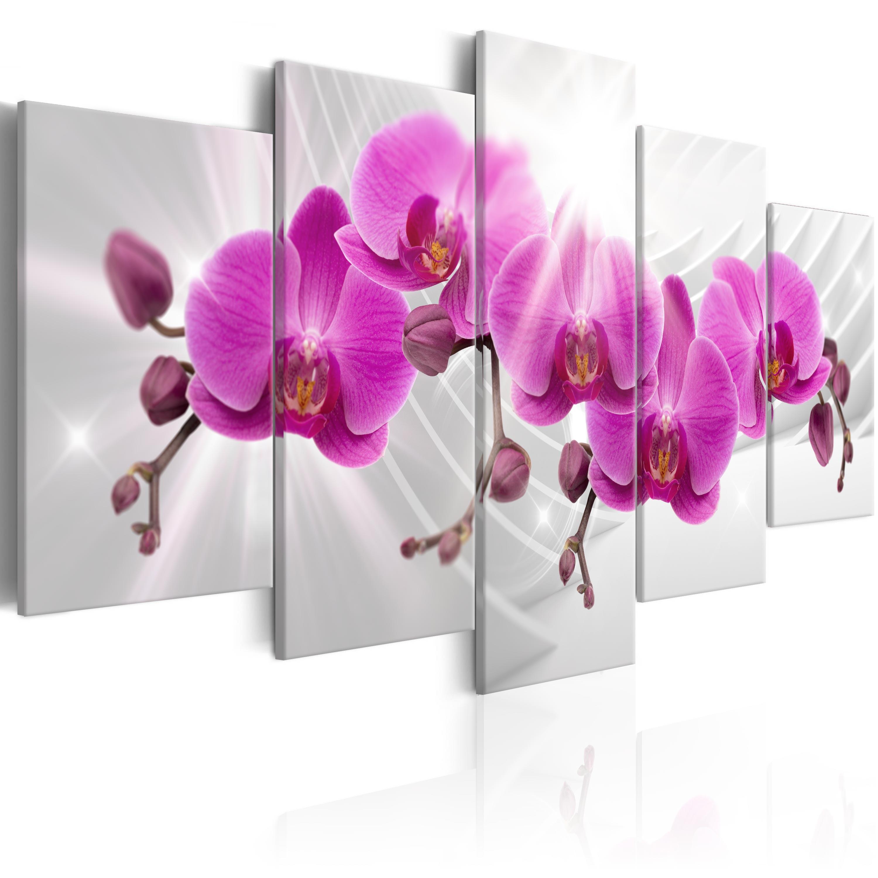 Billede - Abstract Garden: Pink Orchids - 225 x 112.5 cm - Premium Print billede