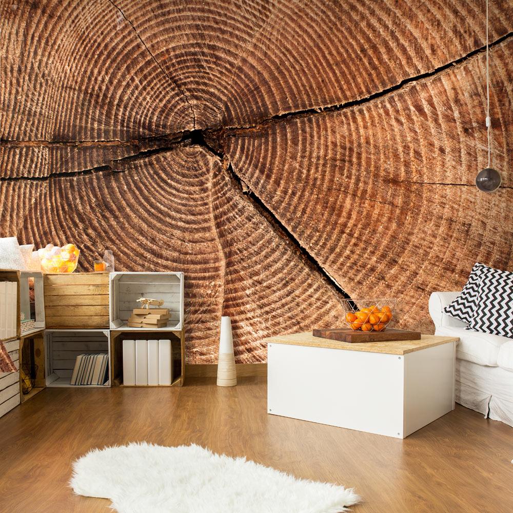 Fototapet - Træstamme tværsnit - 196 x 154 cm - Selvklæbende billede