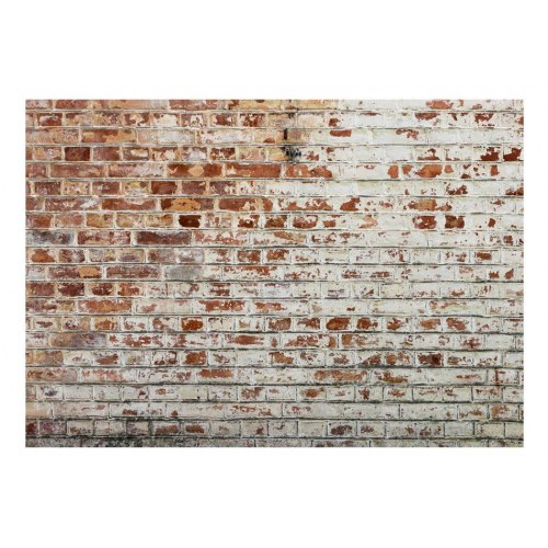 Fototapet Walls of Memory