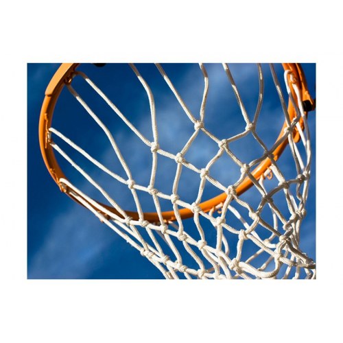 Fototapet - sport - basketball