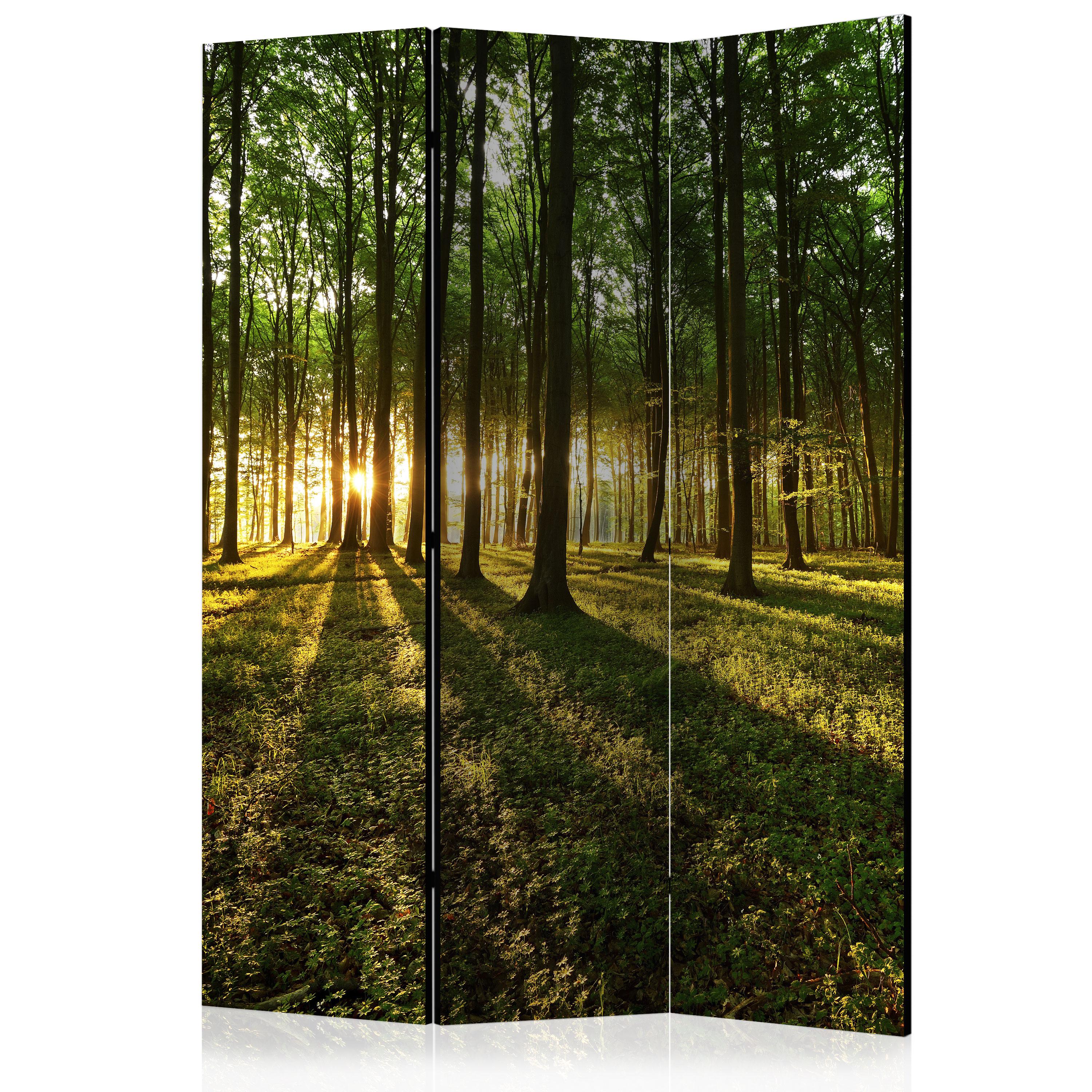 Skærmvæg – Morning in the Forest – 135 x 172 cm – Enkeltsiddet