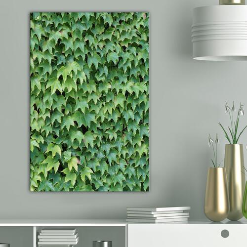 Billede - Thick Ivy (1 Part) Vertical
